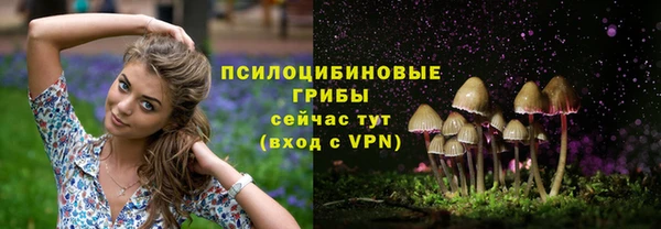 сатива Белокуриха